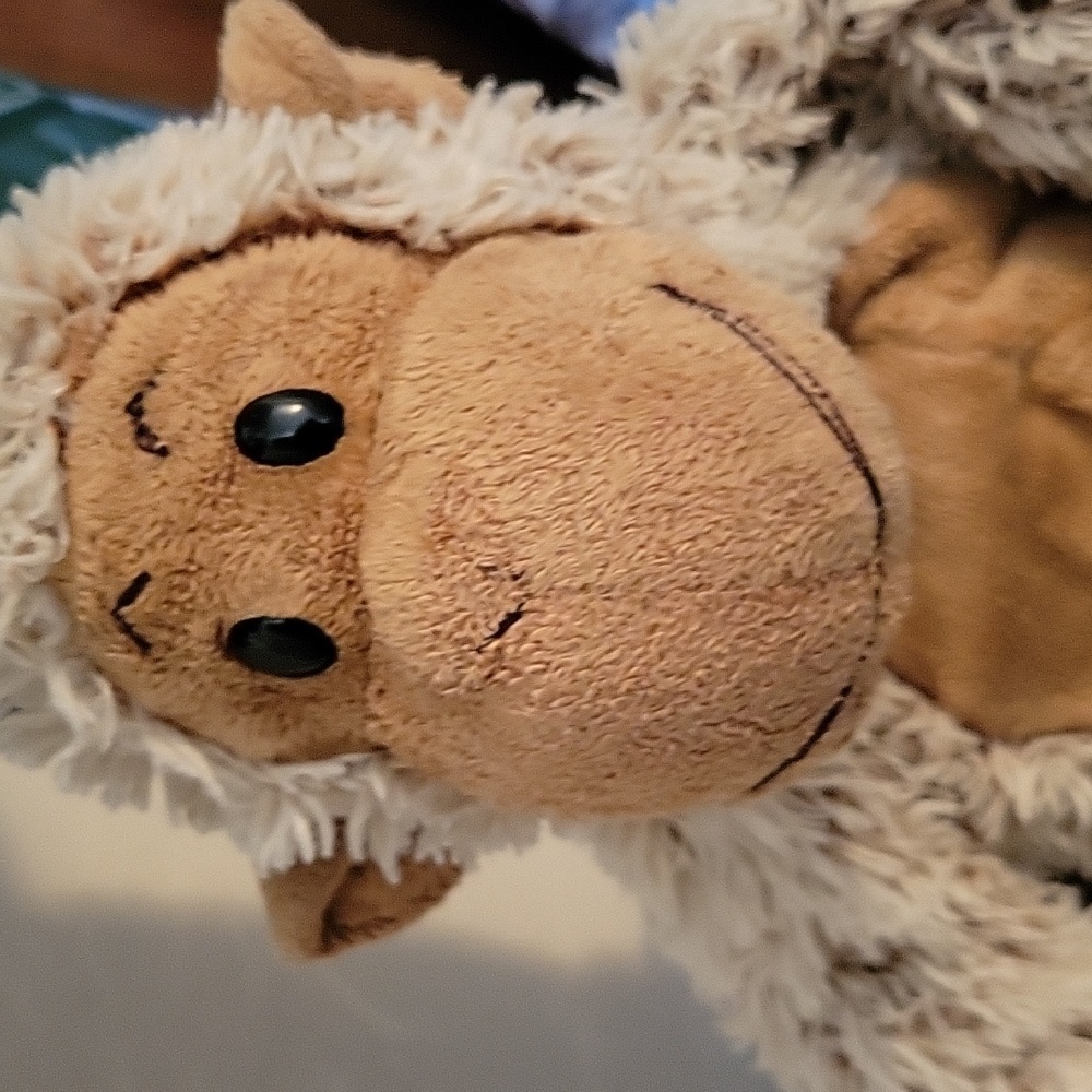 Stuffed Monkey - Picture 3 of 9
